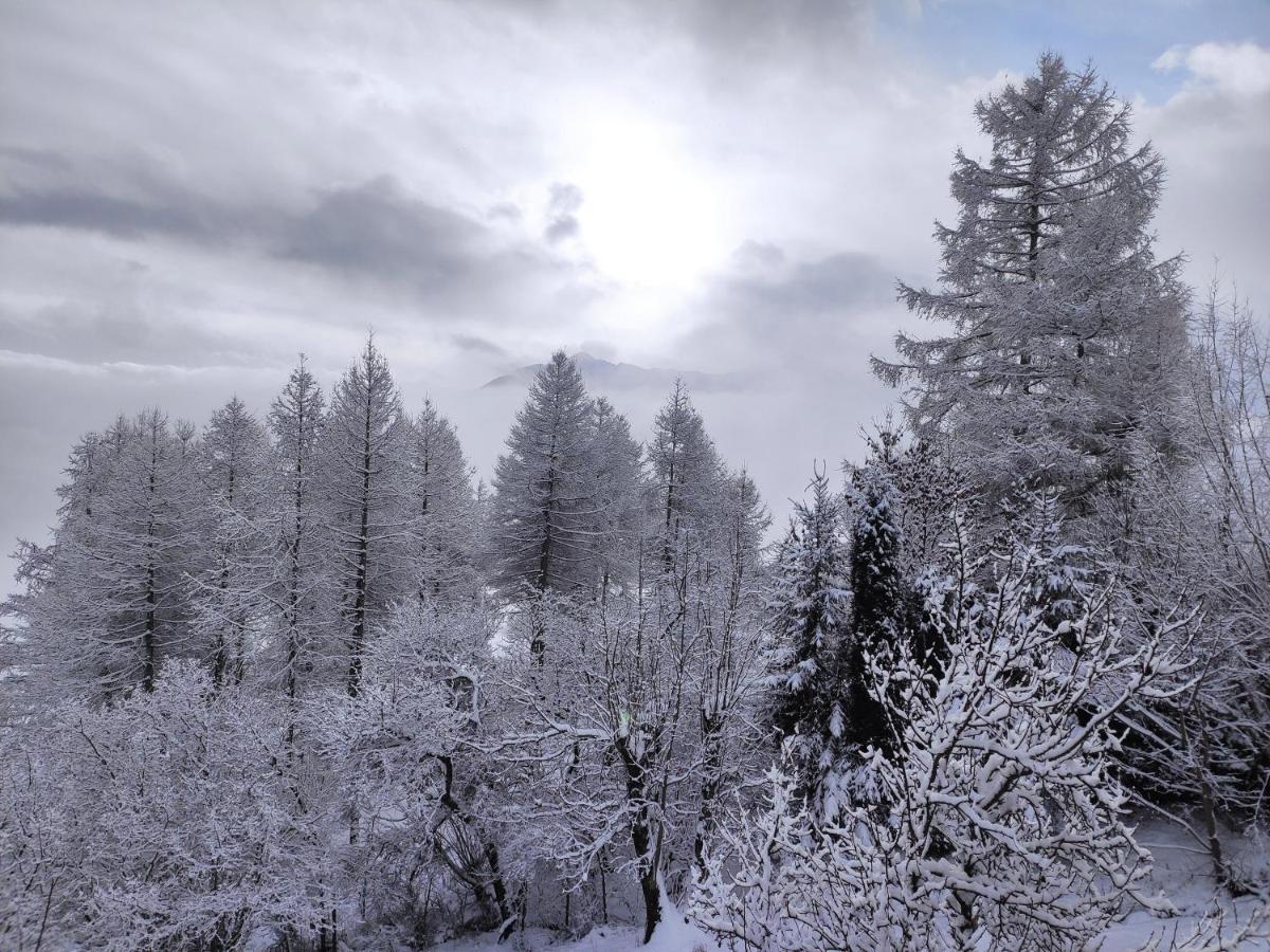 Bel Appartement Au Rez De Chaussee D'Un Chalet Jarrier ภายนอก รูปภาพ